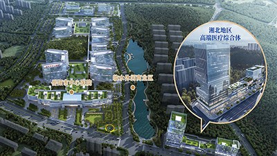 岳阳市中心医院配套健康管理中心 湘北地区健康医疗综合体 招商公告