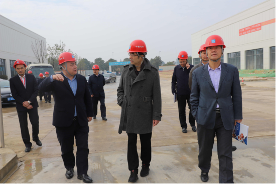 省政协张大方一行调研考察胥家桥物流园