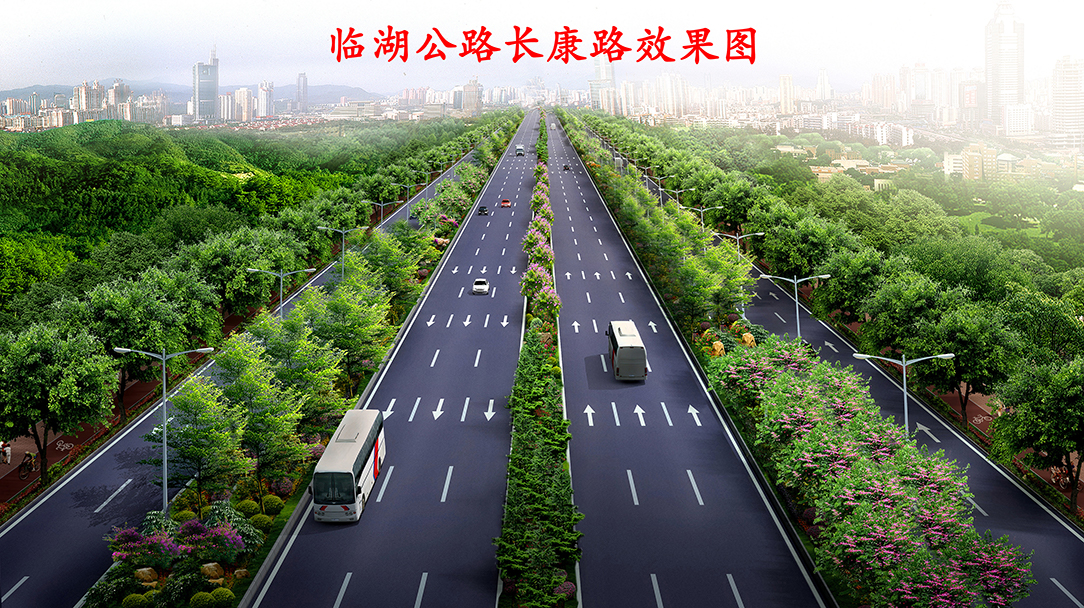 临湖公路长康路