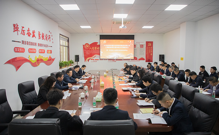 乙烯路上党旗红 乙烯配套项目流动党员党支部成立大会召开