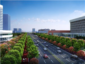 枫树山路