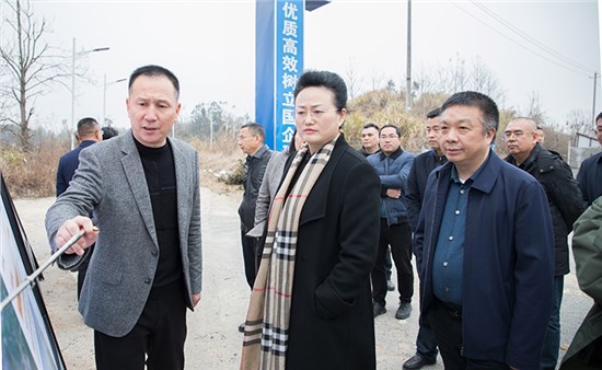魏淑萍实地调研G353岳阳东站至洞庭湖大桥公路工程项目