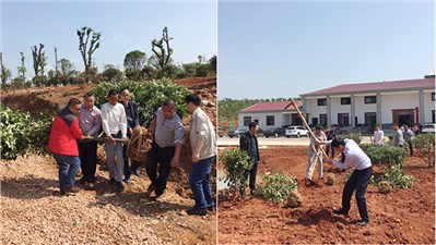 市交建投组织开展五一劳动节植树活动