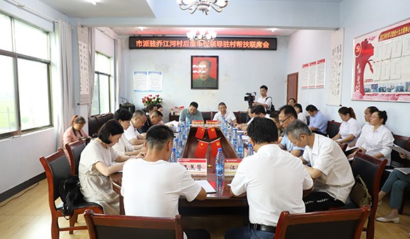 集团公司调研乔江河村乡村振兴工作
