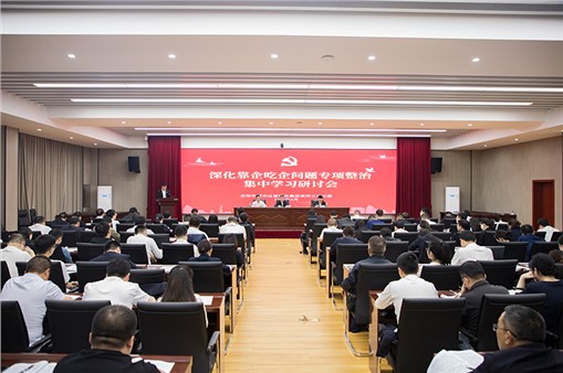 集团组织开展深化靠企吃企问题专项整治集中学习研讨暨纪法知识测试