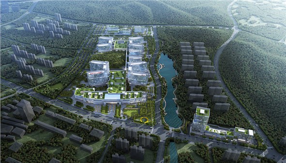 岳阳市中心医院暨配套工程项目正式开工建设